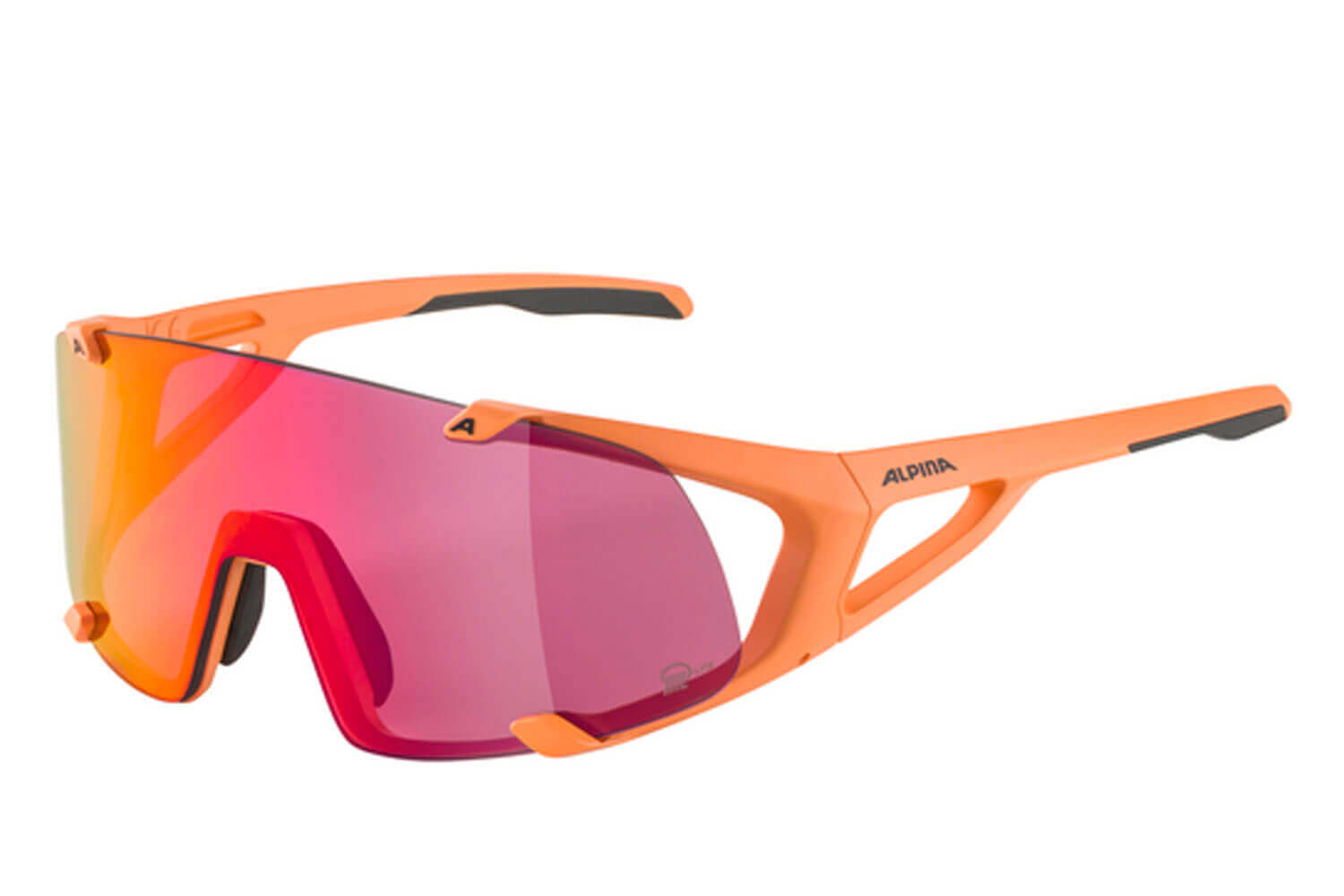 Alpina HAWKEYE S Q-LITE  