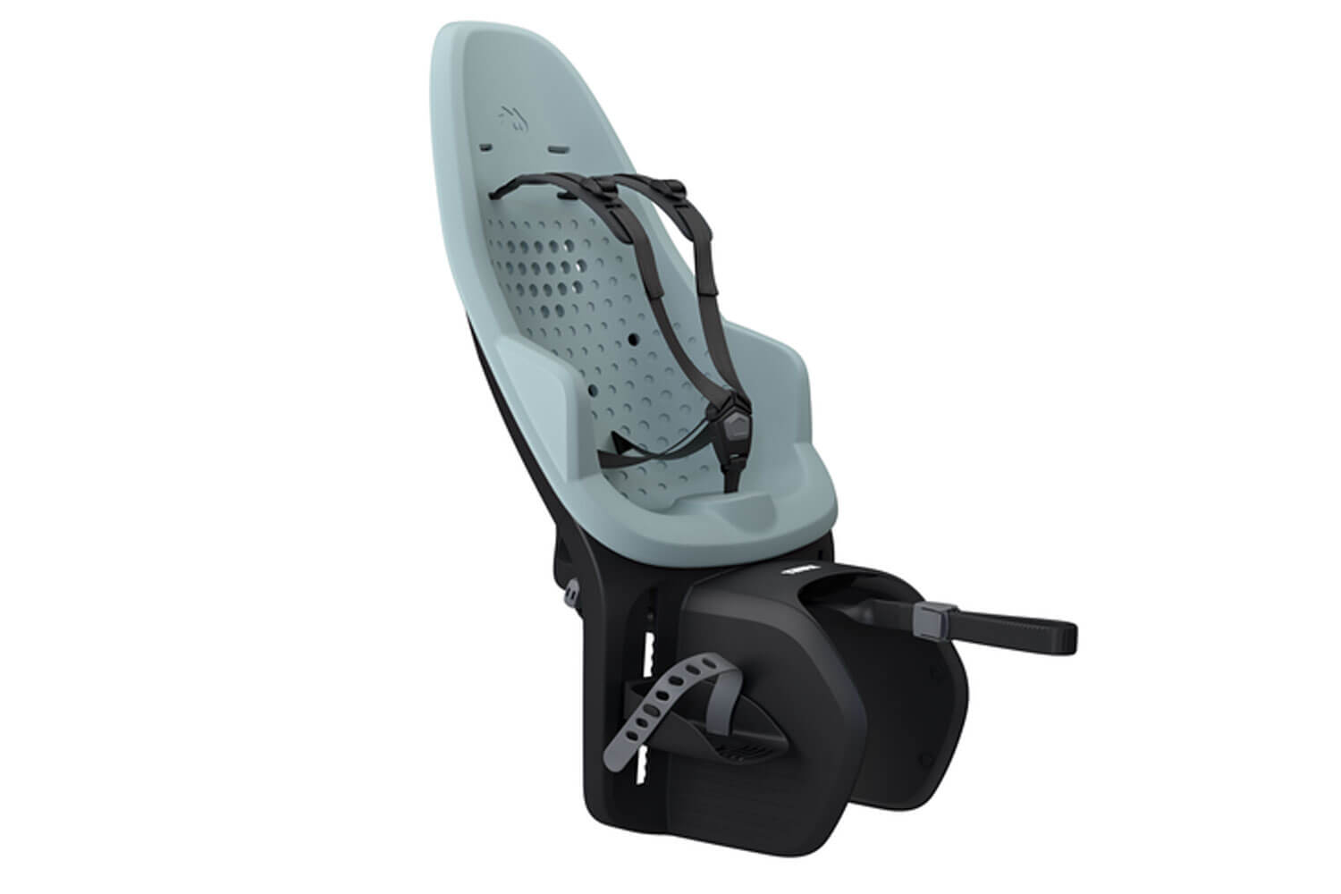 Thule Yepp 2 maxi Kindersitz  