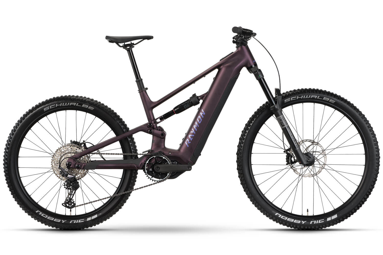 RAYMON Ravor Comp 2026  