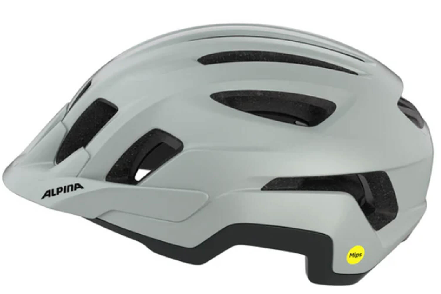 Alpina Paranus Mips Fahrradhelm  