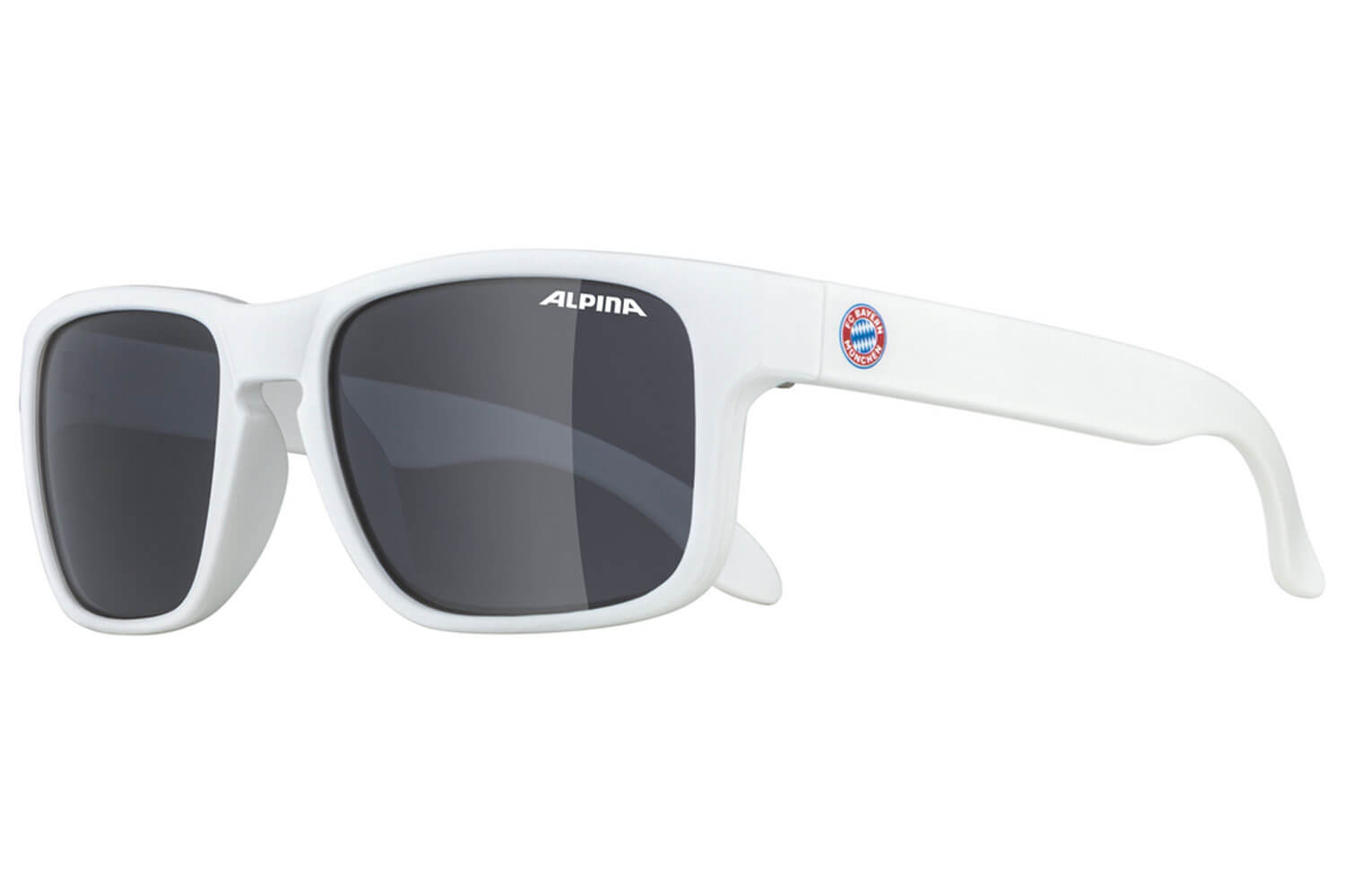 Alpina MITZO Fahrradbrille  