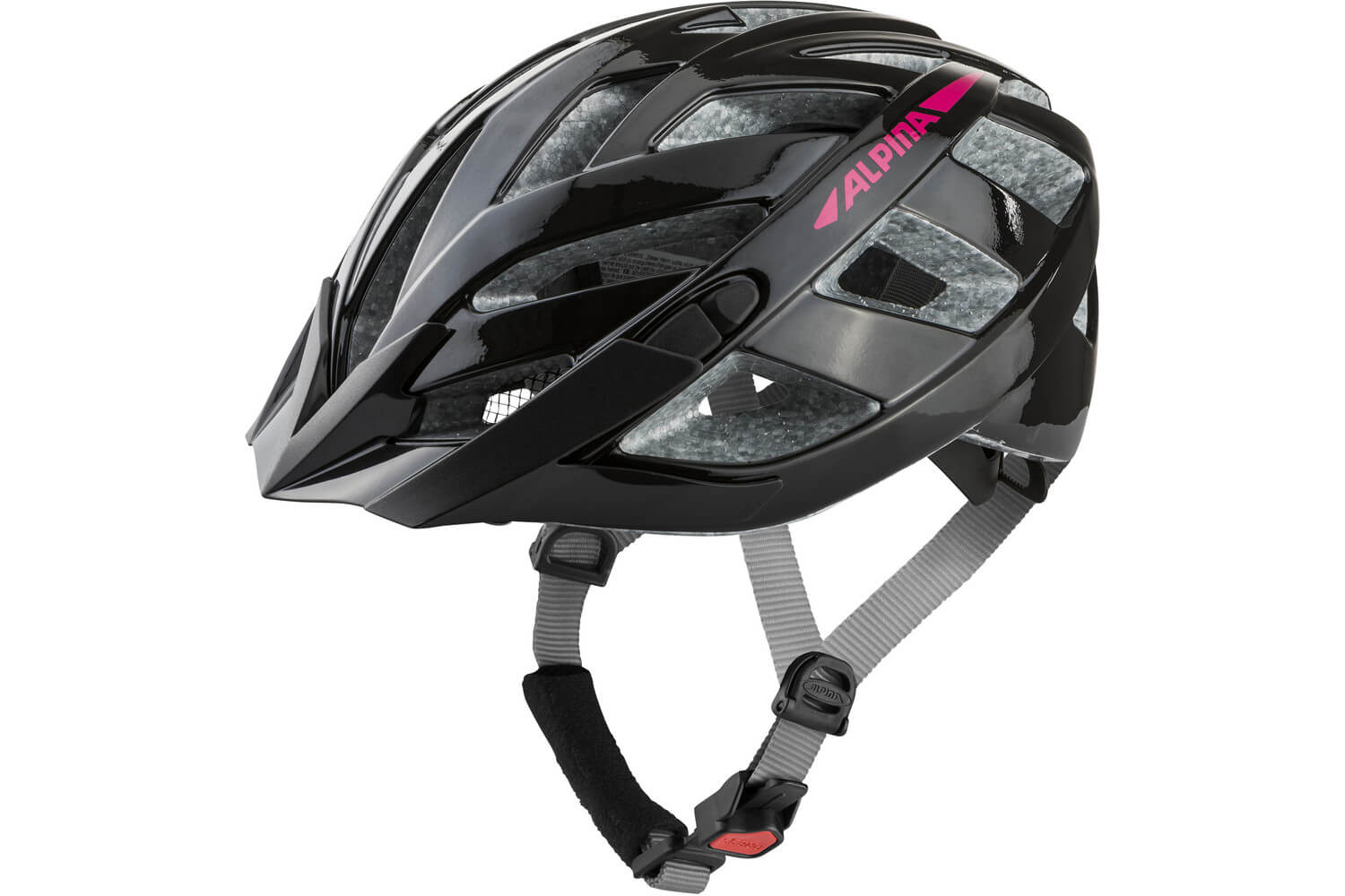 Alpina Helm Panoma 2.0  