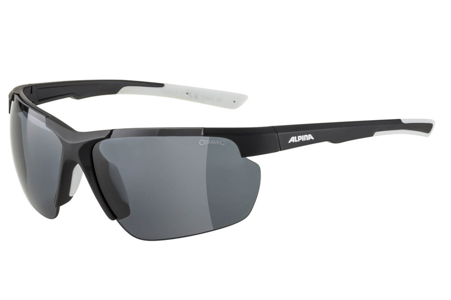 Alpina Defey HR Fahrradbrille  