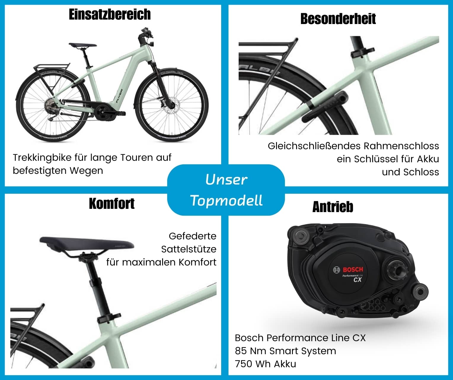 Flyer Gotour 7.10 Gents  