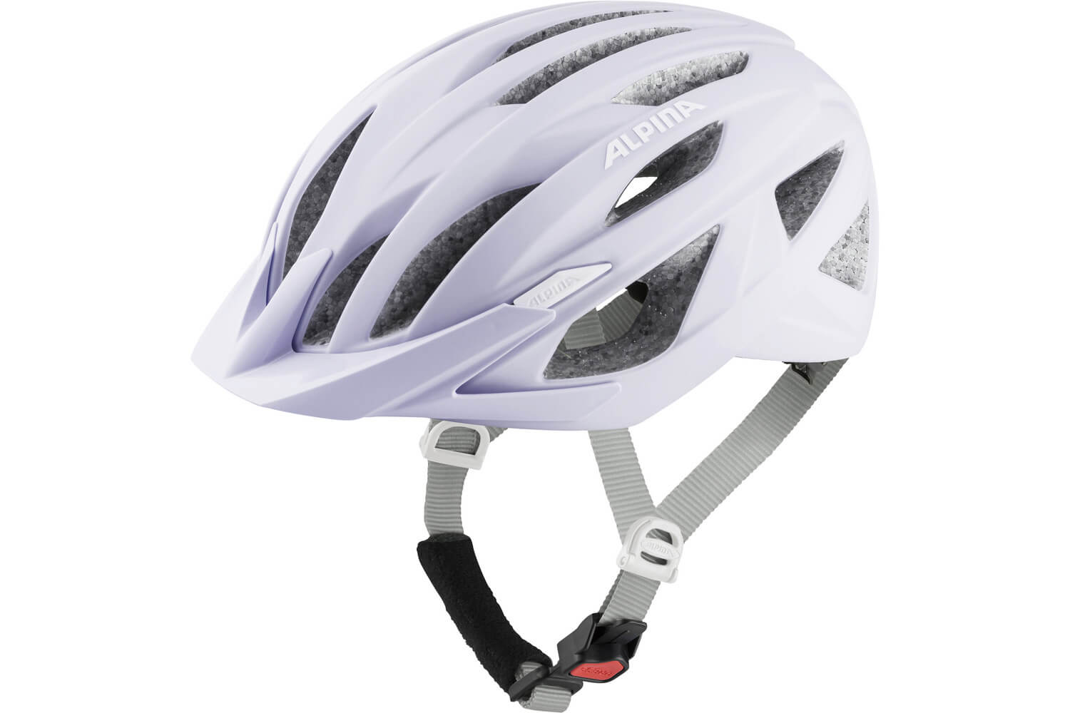 Alpina Helm Panoma 2.0  