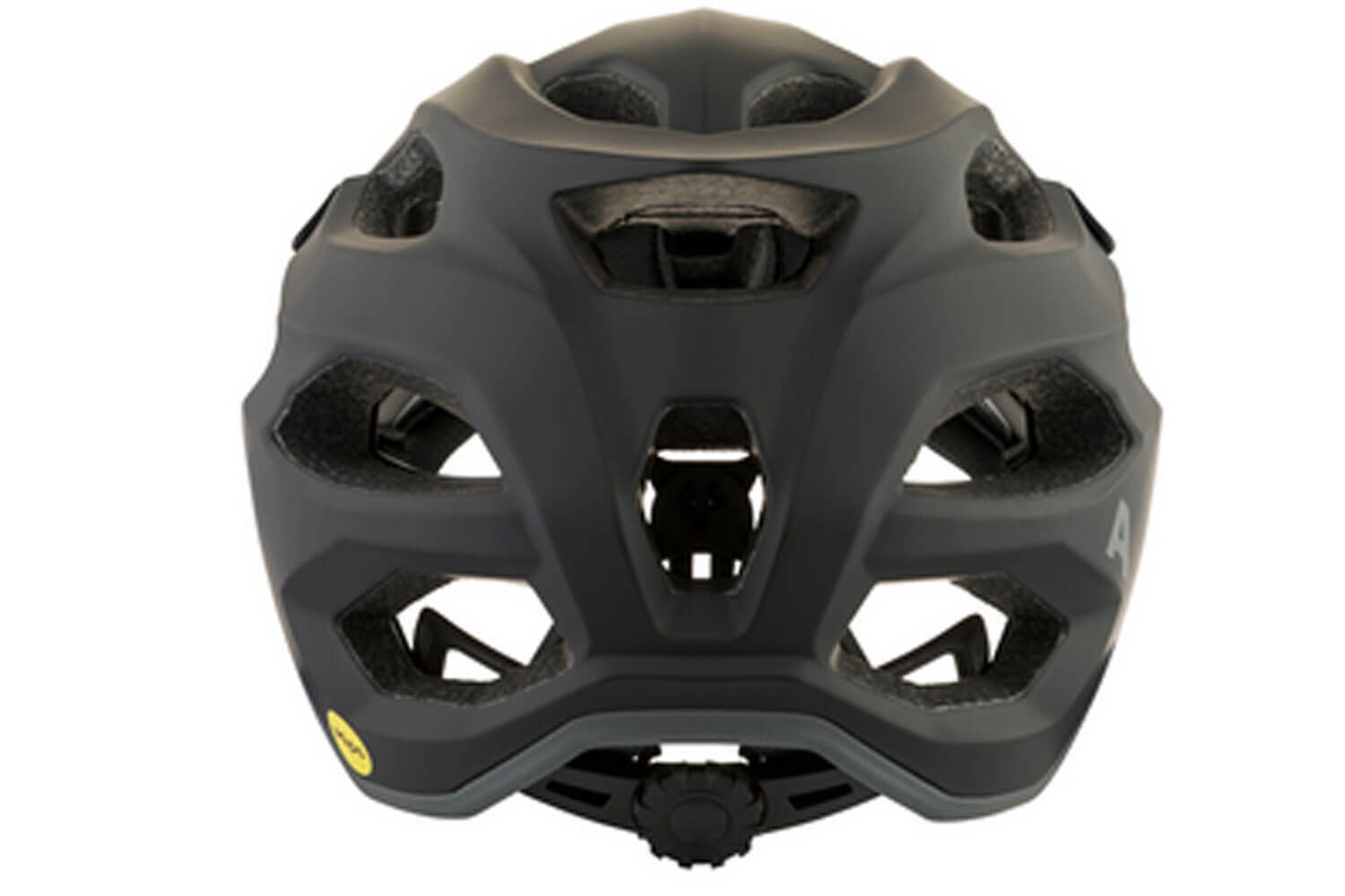 Alpina APAX MIPS Helm  