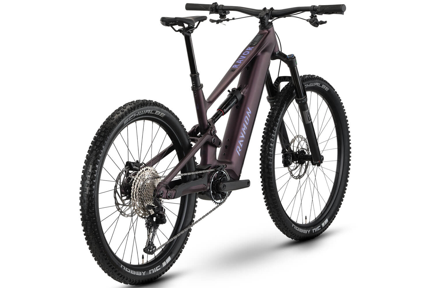 RAYMON Ravor Comp 2026  