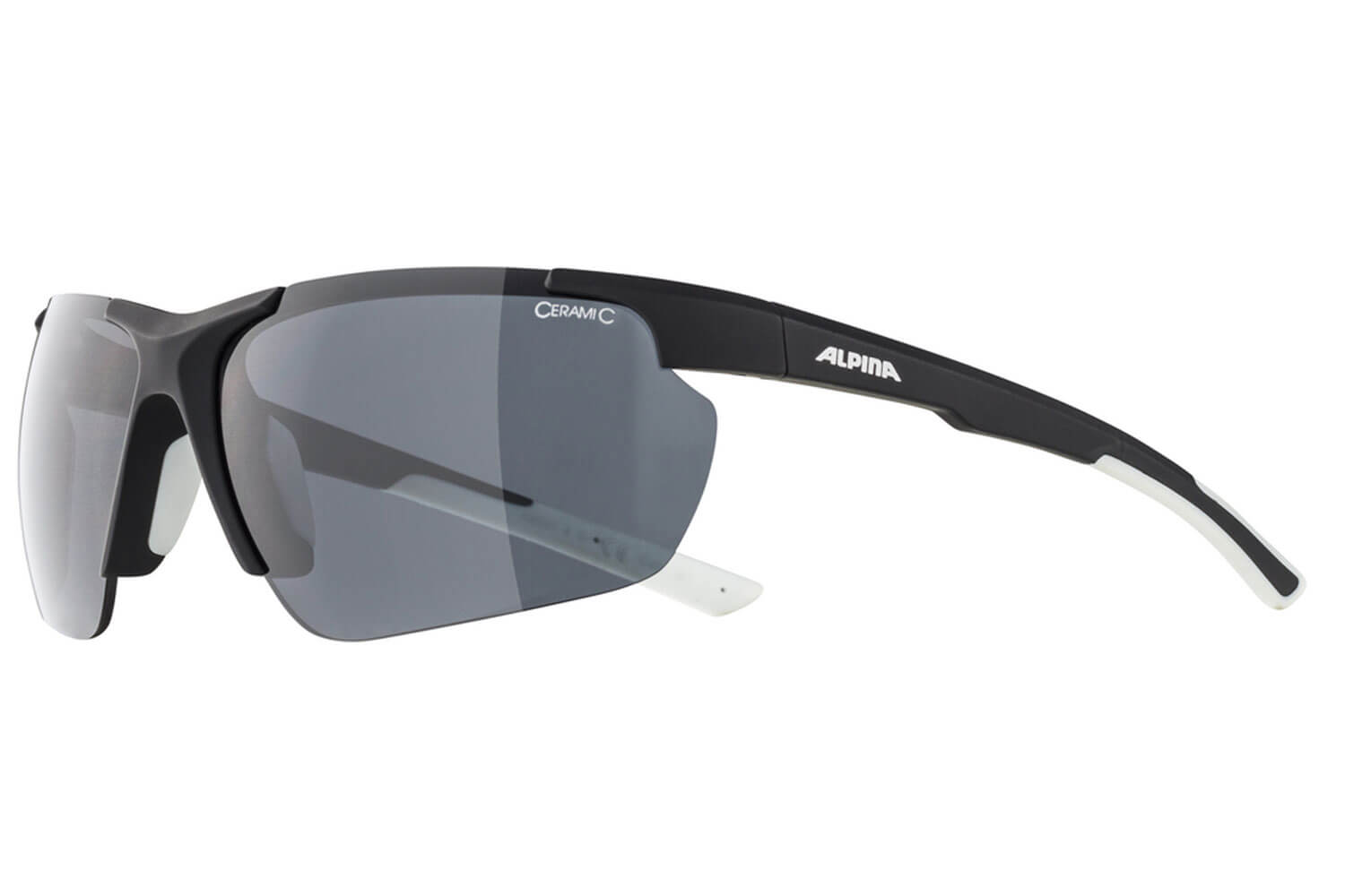 Alpina Defey HR Fahrradbrille  