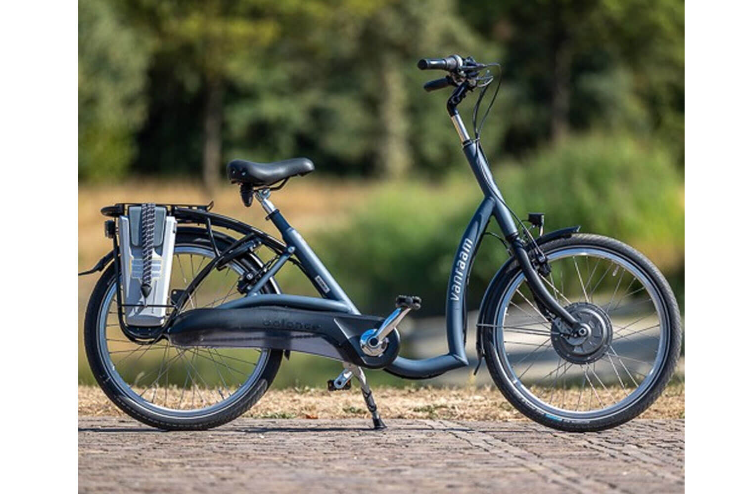 Vanraam Balance 2 HT Tiefeinsteiger eBike  