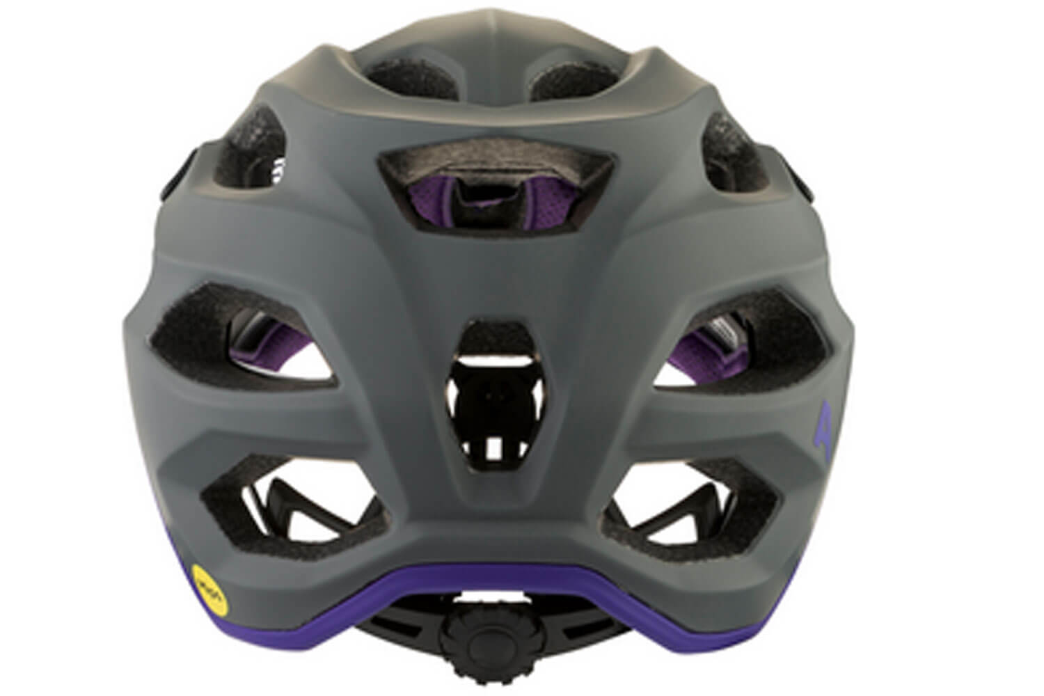 Alpina APAX MIPS Helm  