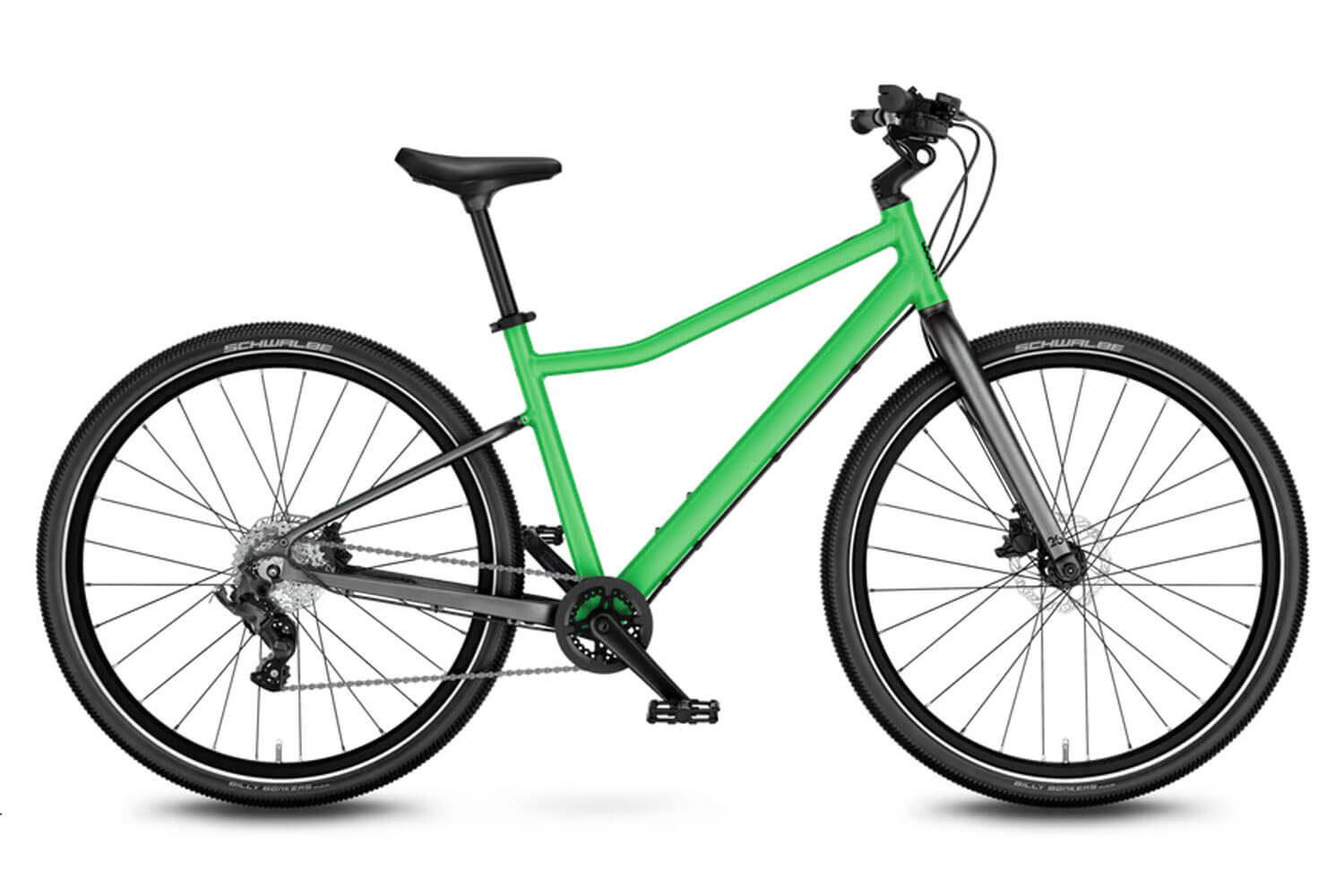 Jungle green  
