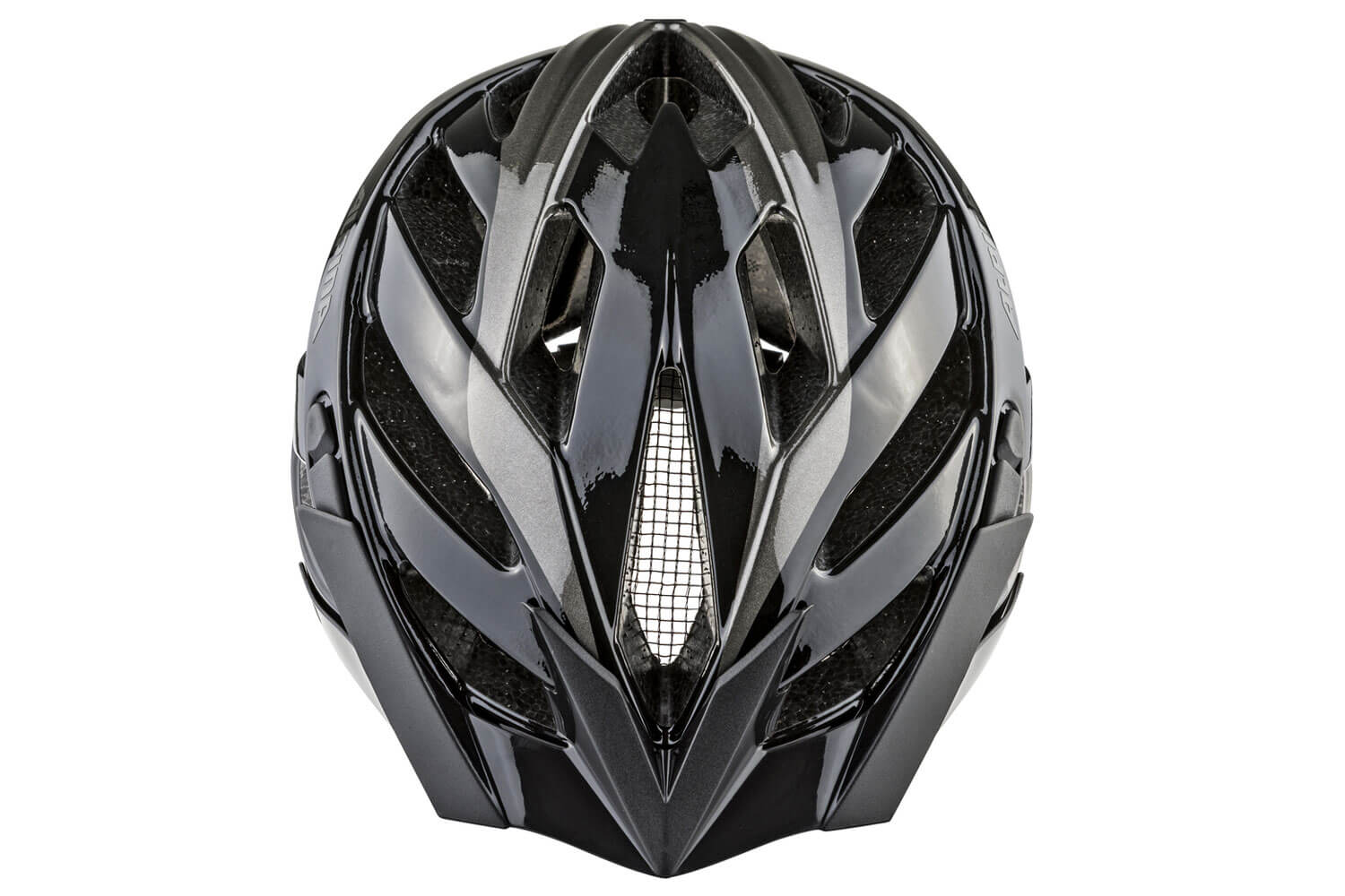 Alpina Helm Panoma 2.0  