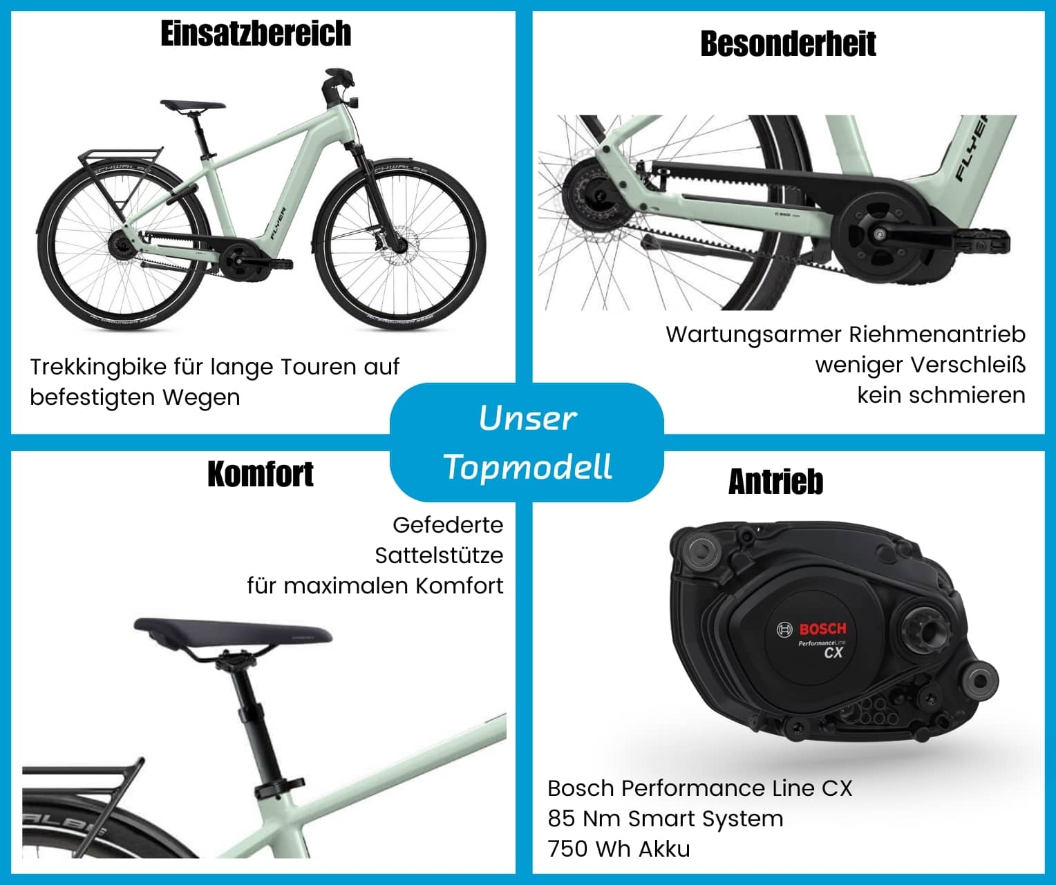 Flyer Gotour 7.23 Gents  