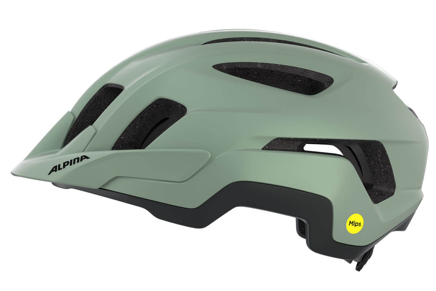 Alpina Paranus Mips Fahrradhelm  